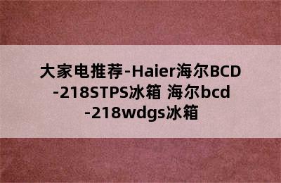 大家电推荐-Haier海尔BCD-218STPS冰箱 海尔bcd-218wdgs冰箱